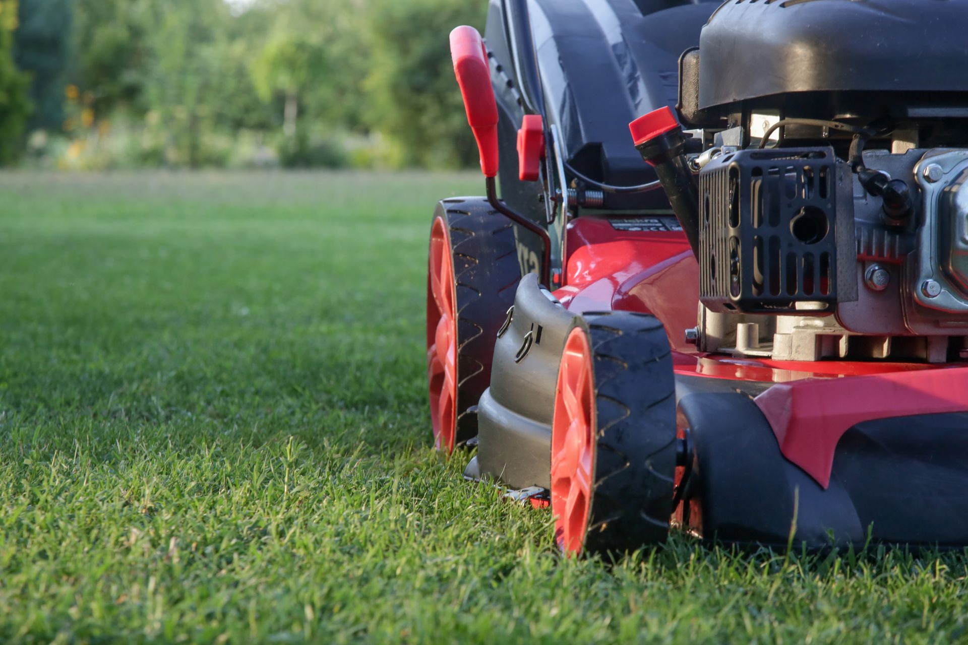 Red riding lawn mower cutting grass on a green lawn