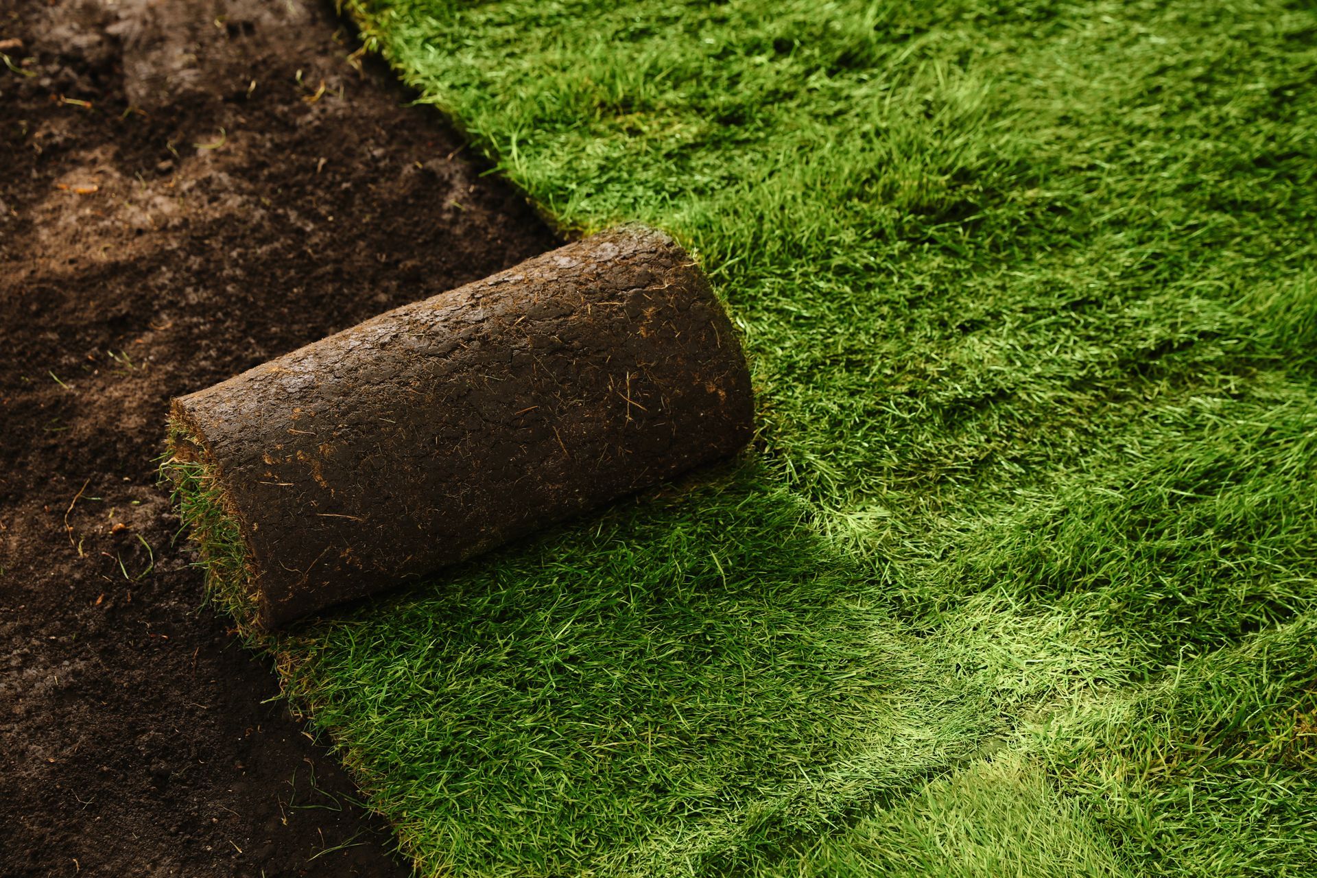 Rolled-up sod lying on bare soil beside a patch of green grass
