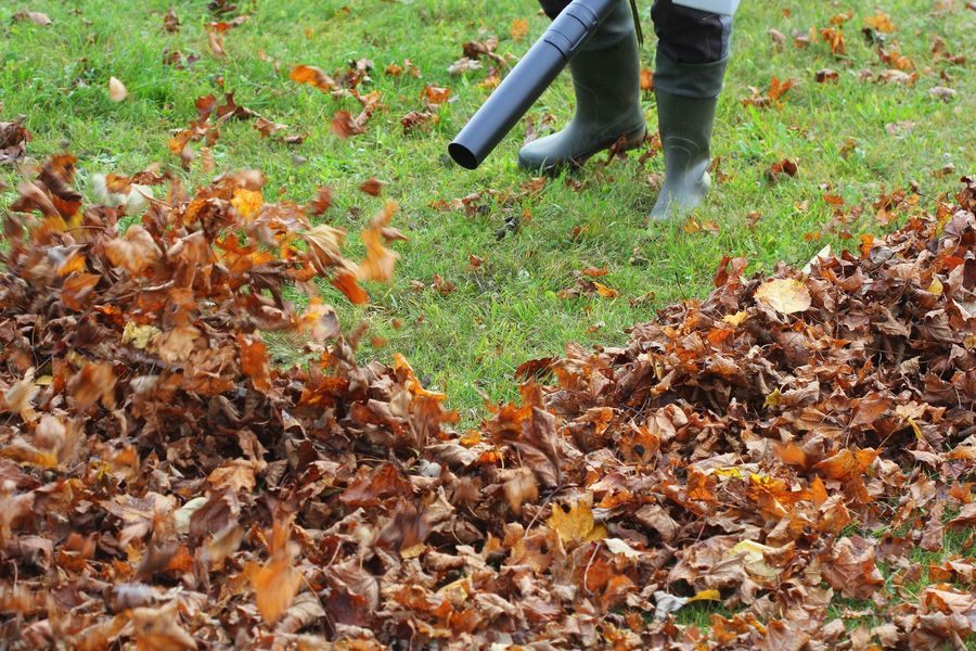 Person using a leaf blower on a pile of orange autumn leaves in a grassy yard