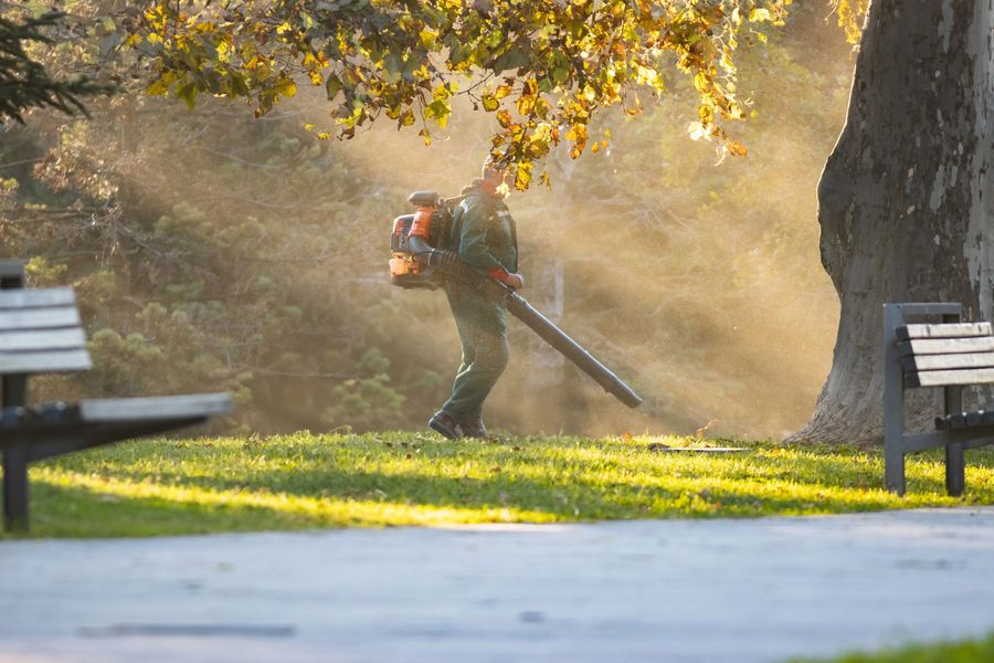 Worker using a leaf blower in a sunny park between benches and trees
