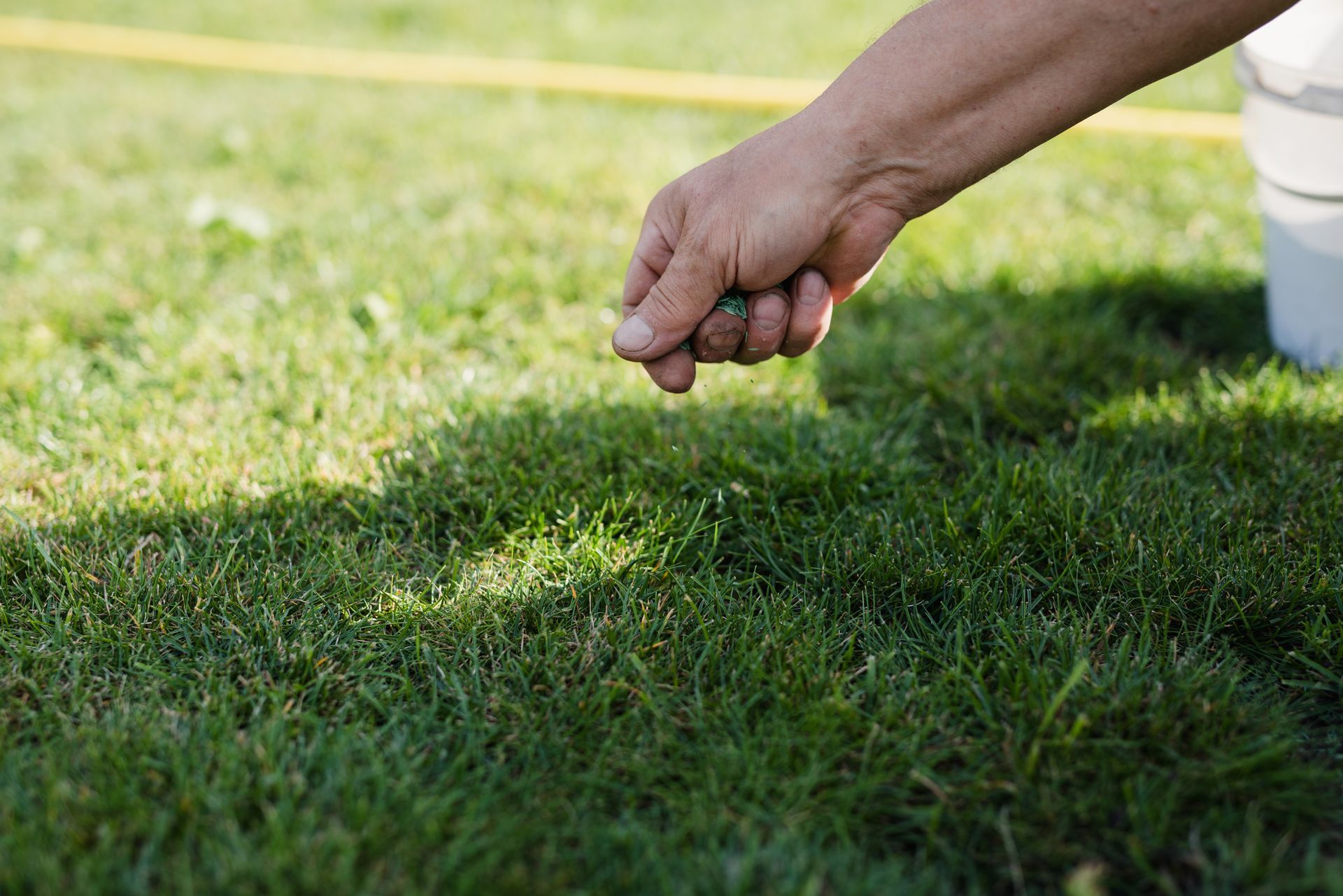 Hand watering green lawn with a hose on a sunny day