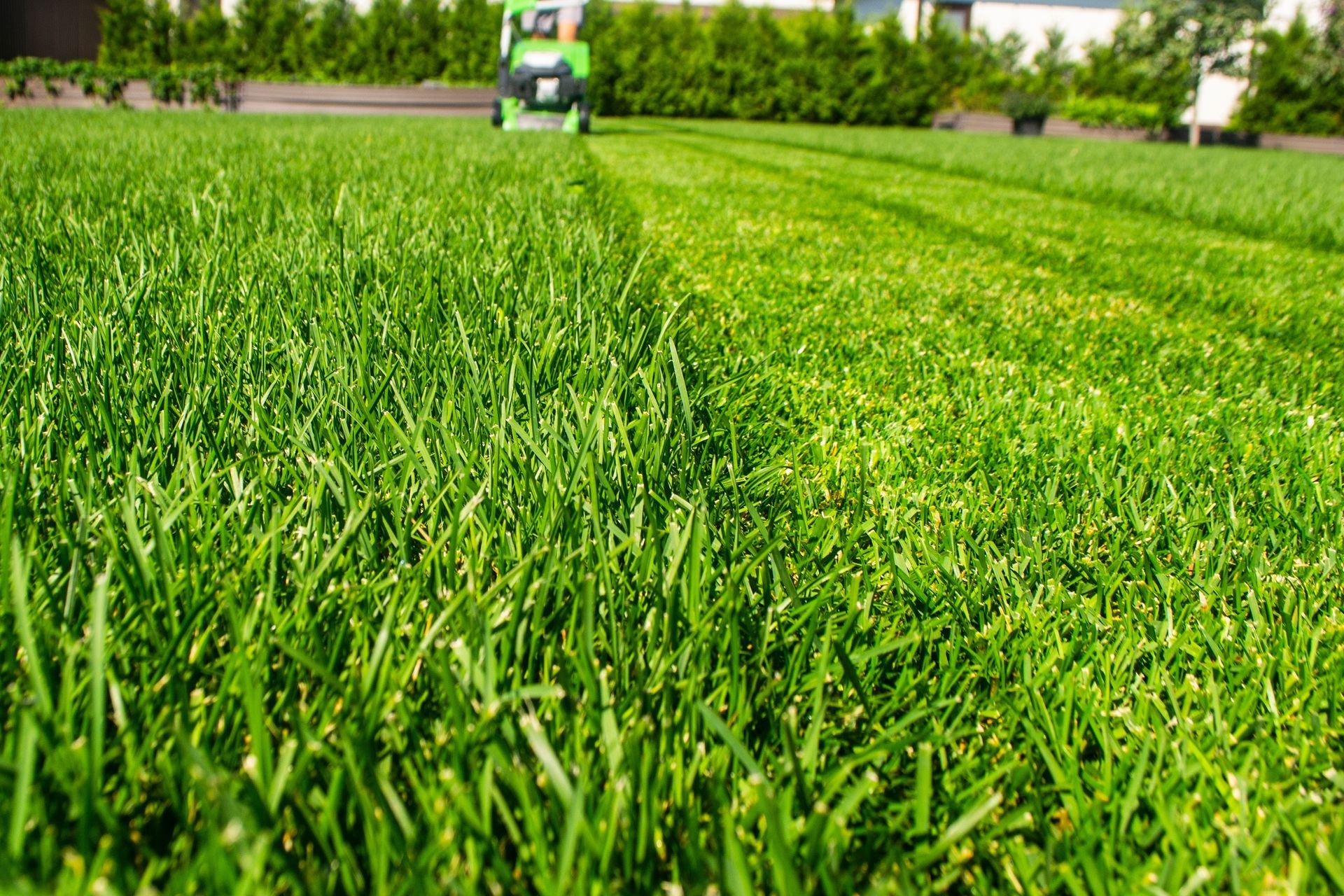 Lush green field with a small tractor mowing grass in the distance