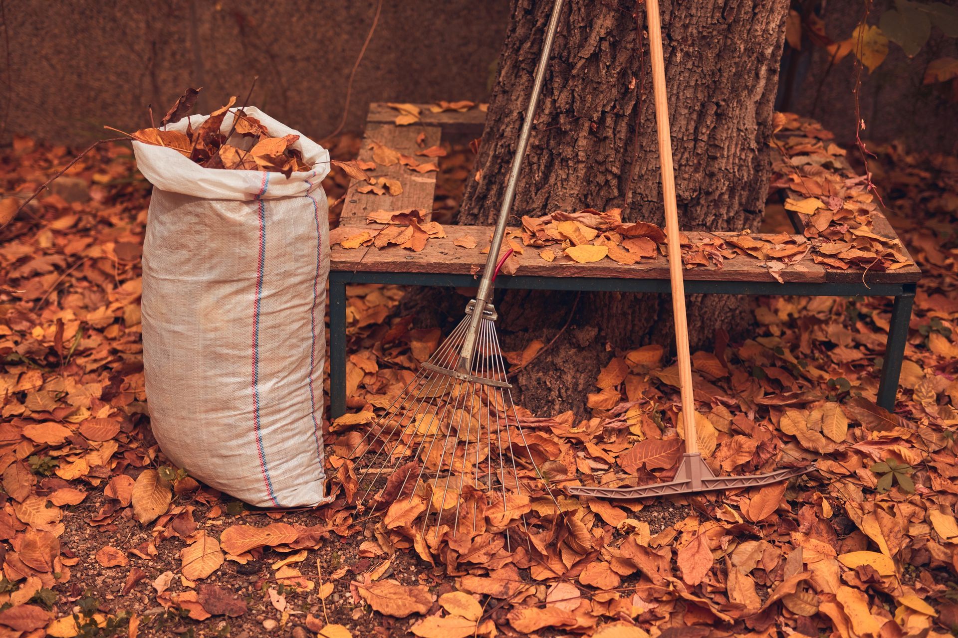 Garden tools leaning against a bench beside a sack of leaves in an autumn yard