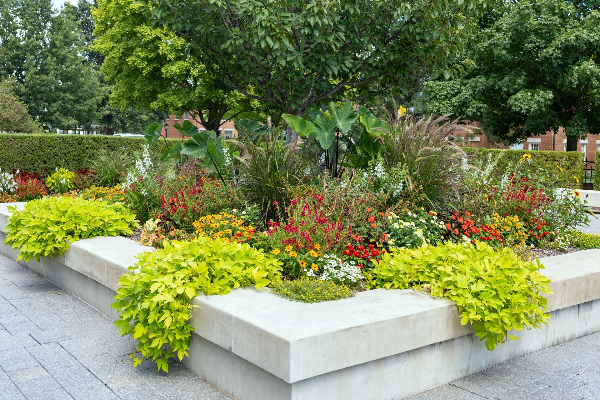 Raised garden bed with bright yellow-green and red flowers in a landscaped park area