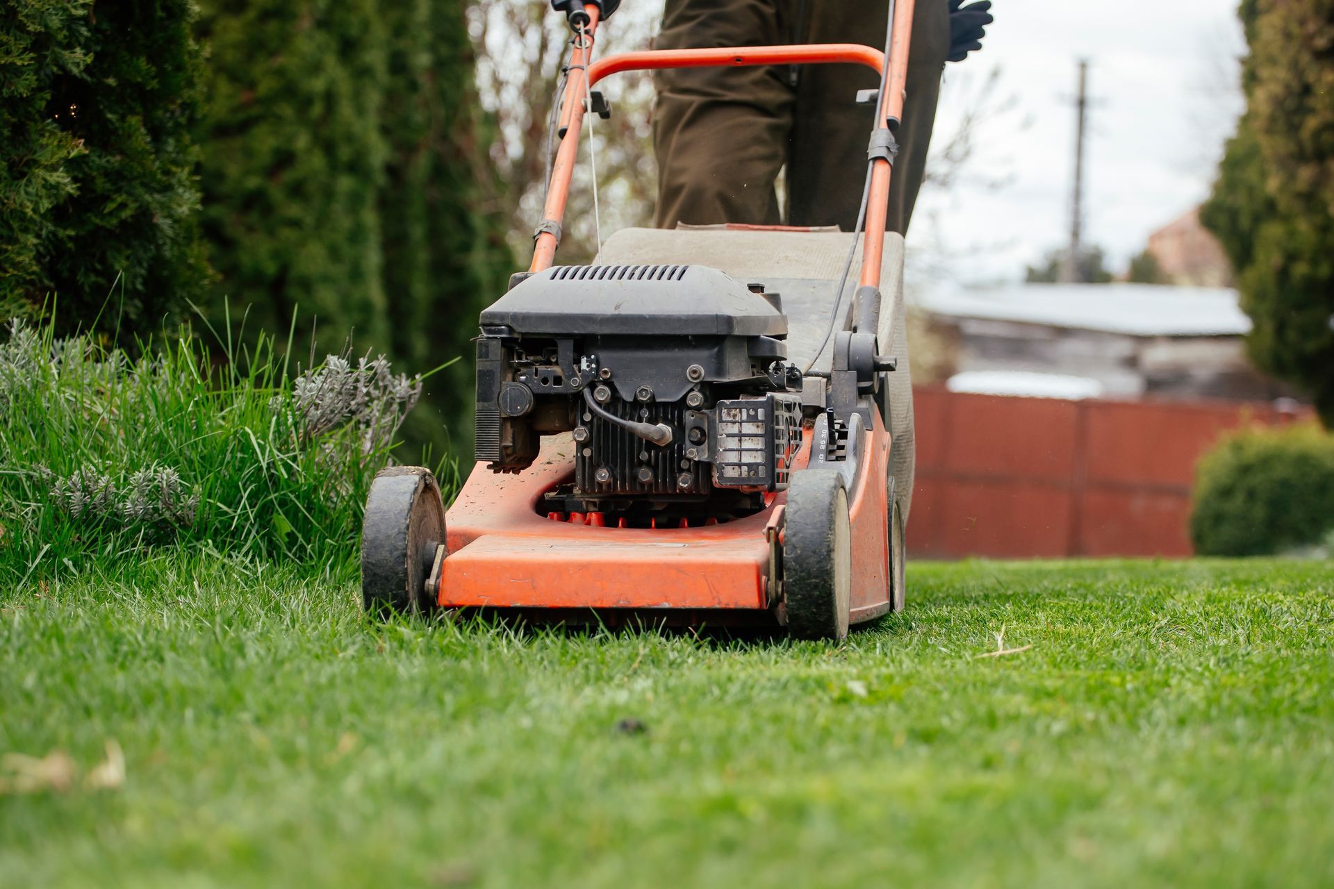 Orange lawn mower cutting grass in a yard, with a hedge and brick wall in the background