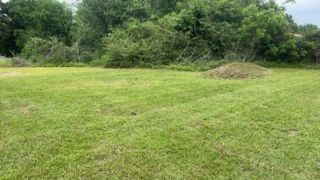 Open grassy field bordered by dense green trees and shrubs.
