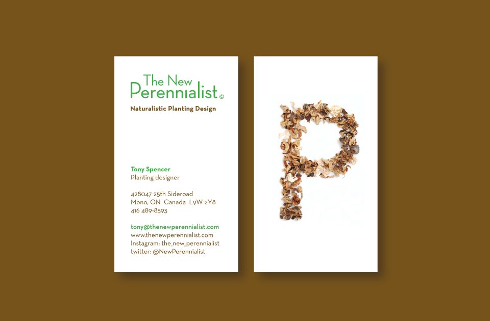 Business cards front and back on brown background