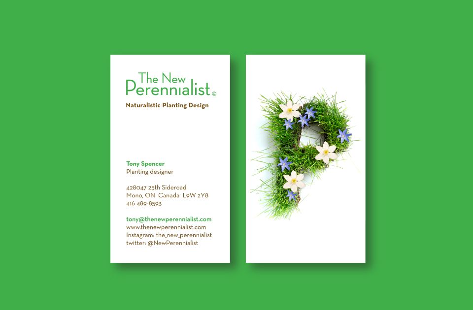 Business cards front and back on green background