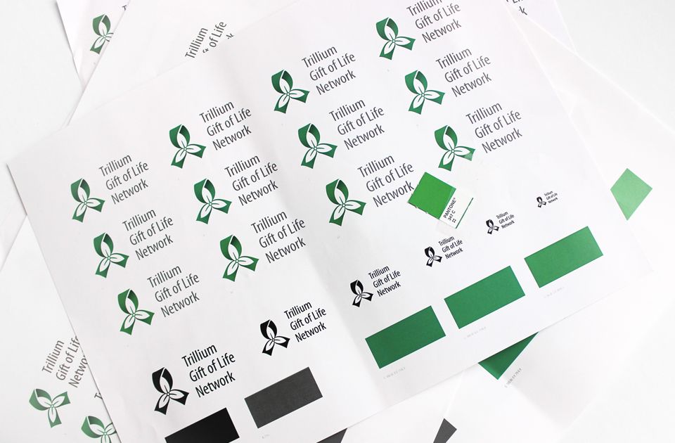 Image of testing different greens for a logo