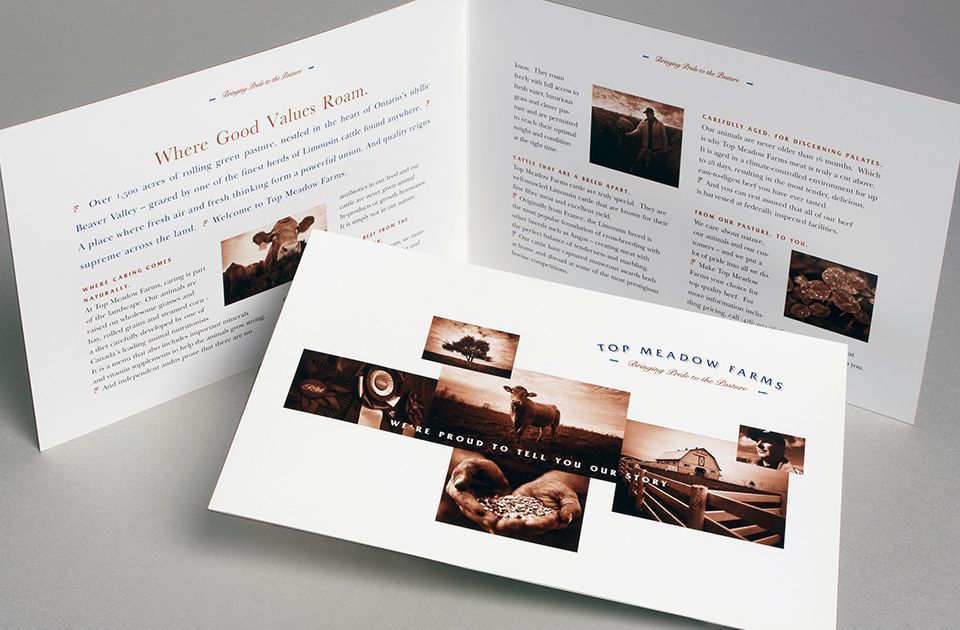 Top Meadow Farms brochure