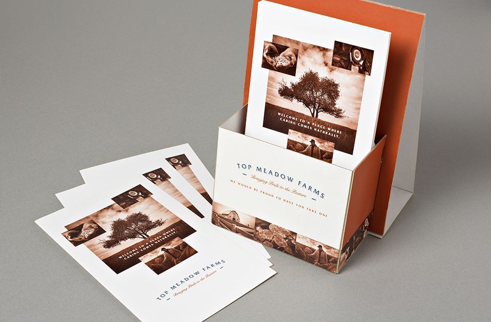 Brochure holder