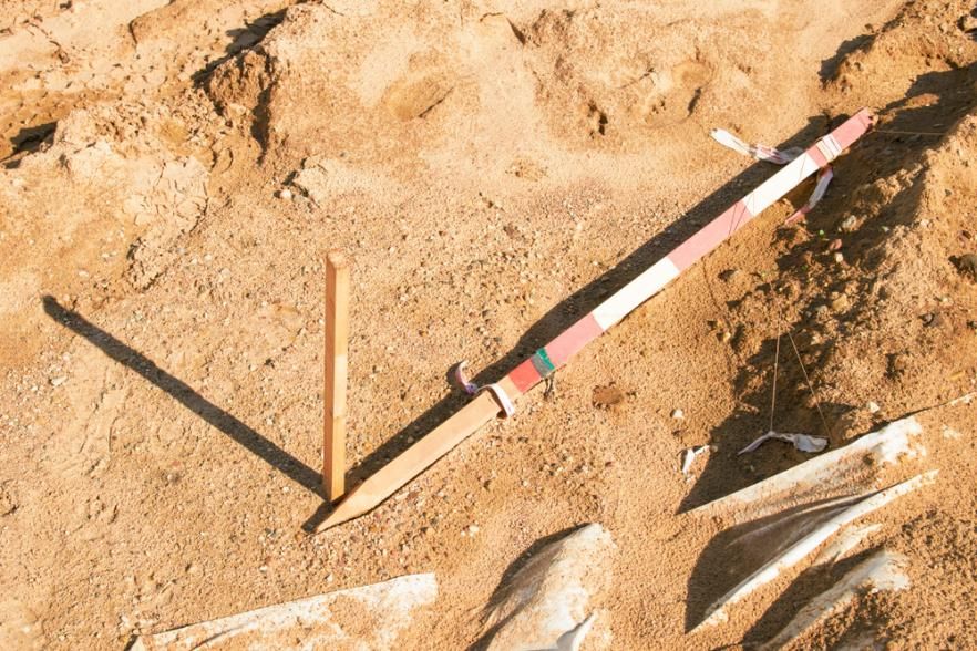 A Wooden Stick Is Laying in The Sand Next to Some Bones — Duggan Mather Surveyors in Taylors Beach, NSW