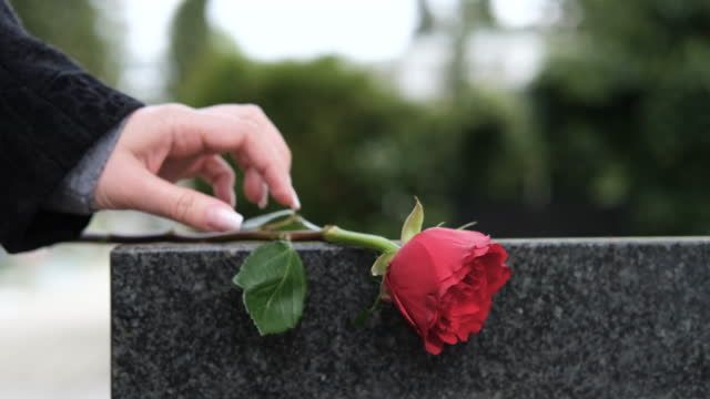 A woman is putting a red rose on a grave.