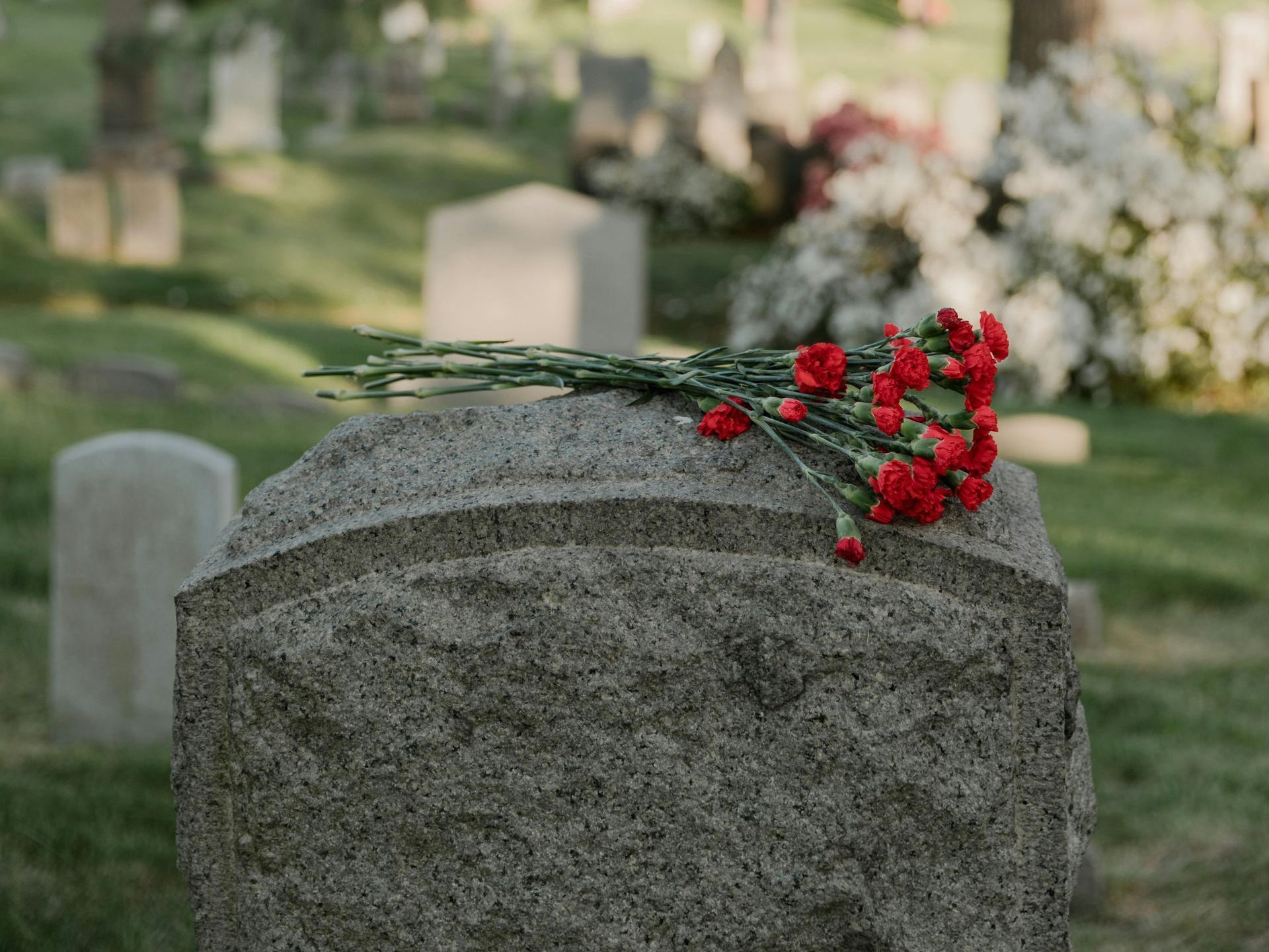 A gravestone with a bunch of red carnations on it in a cemetery.