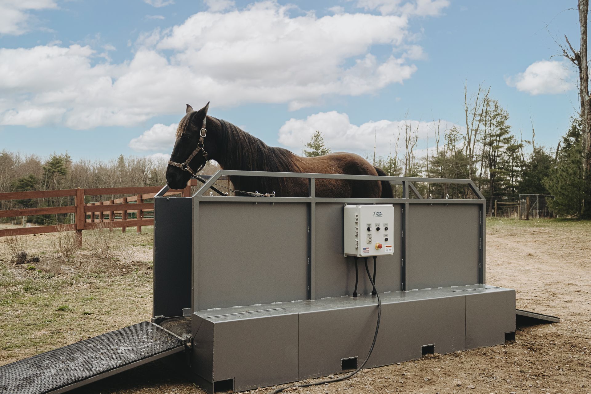 Economy model horse treadmill USA