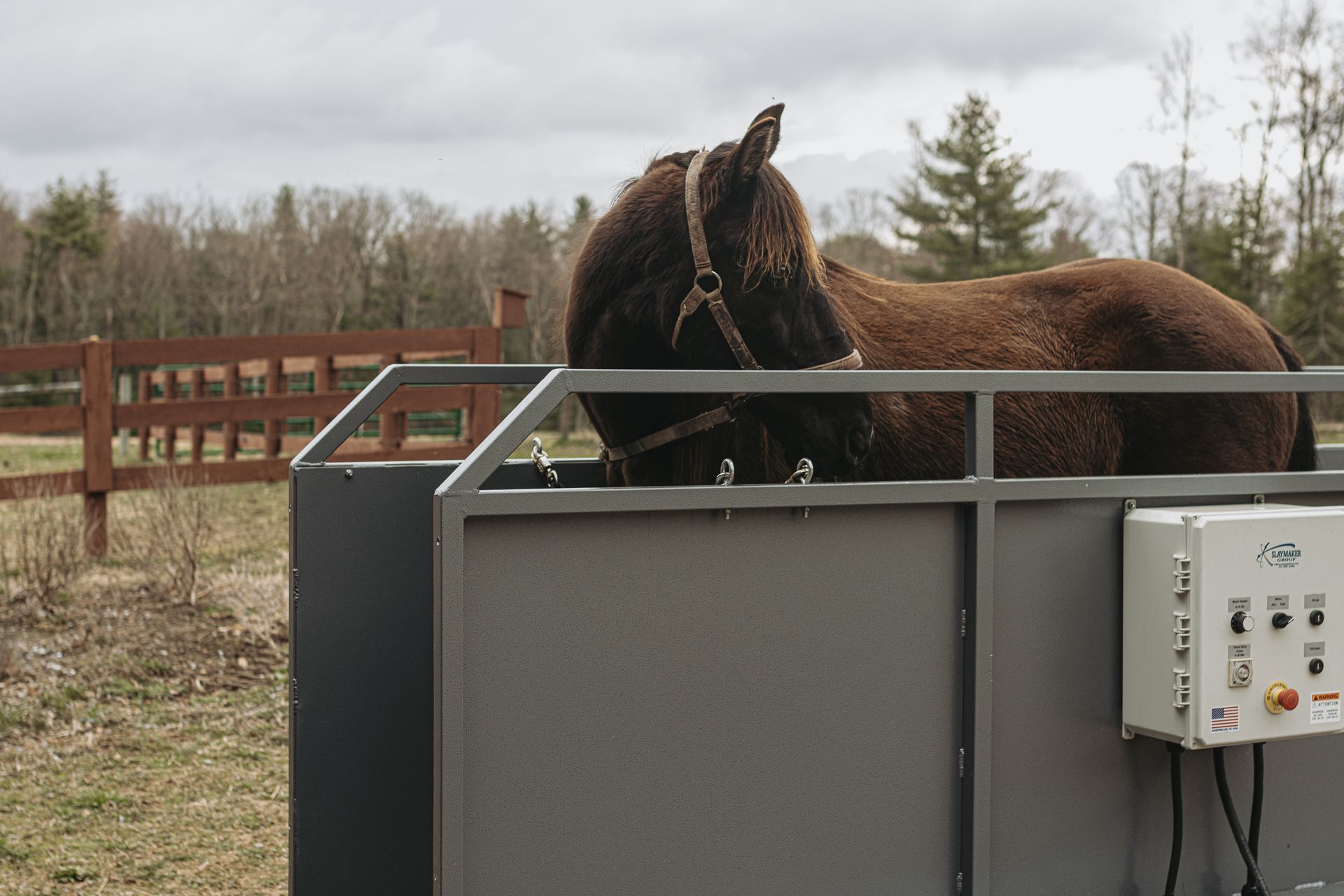Equestrian treadmills for horse training, horse physio therapy and rehab Texas