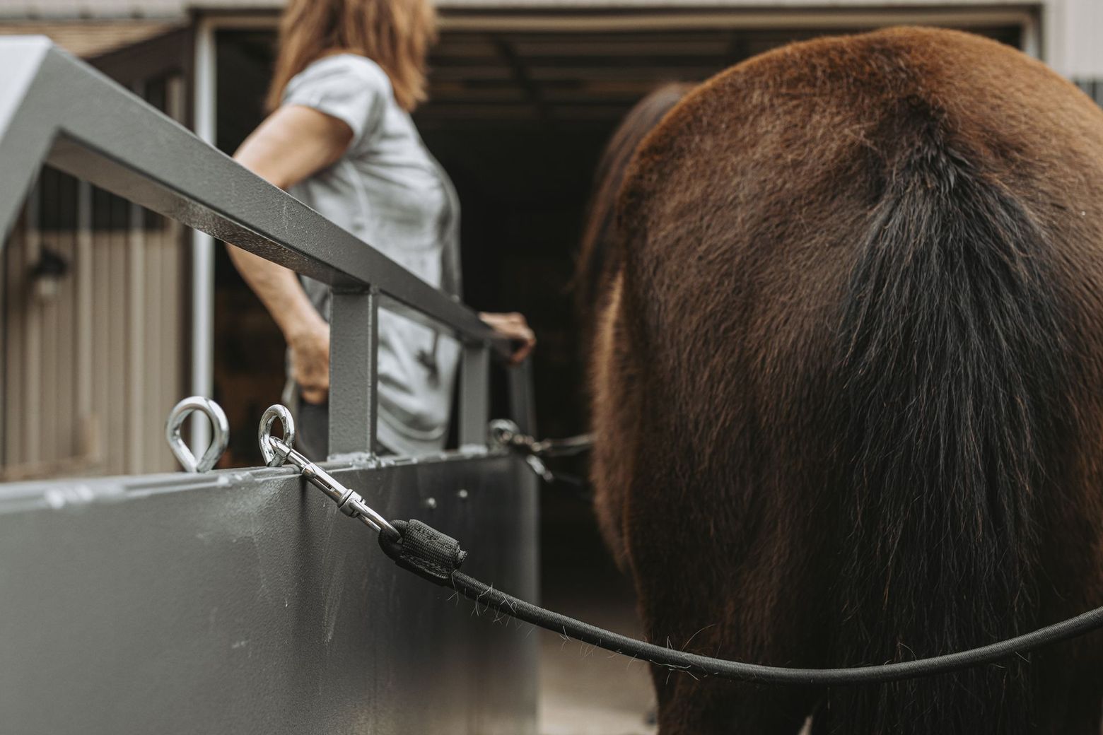 American made horse treadmill