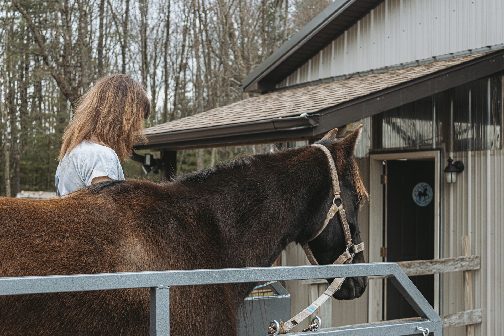 USA high speed horse treadmill