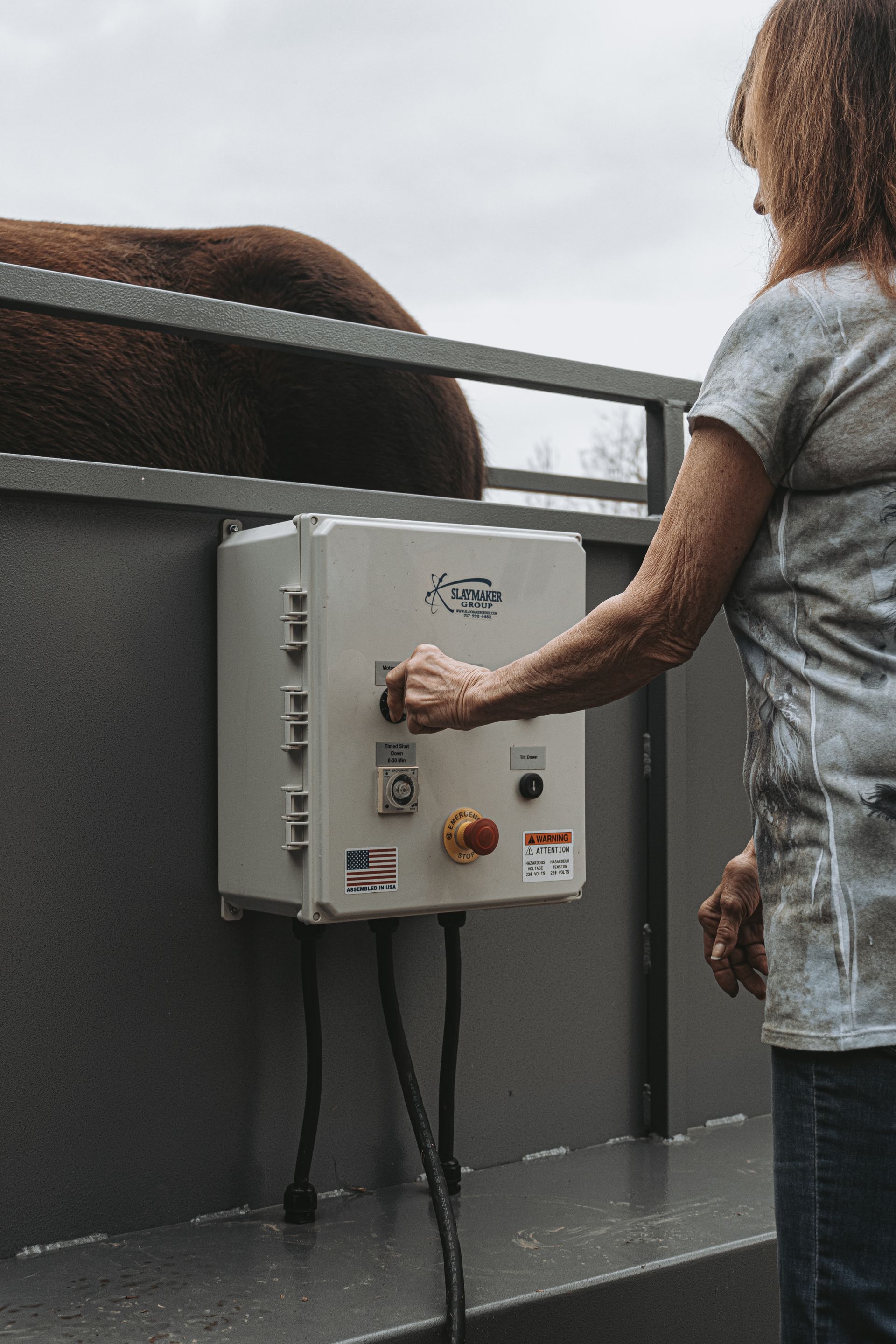 The most effective training treadmills for horses in the united states