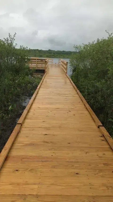 Wooden boardwalk through green marshland under a cloudy sky