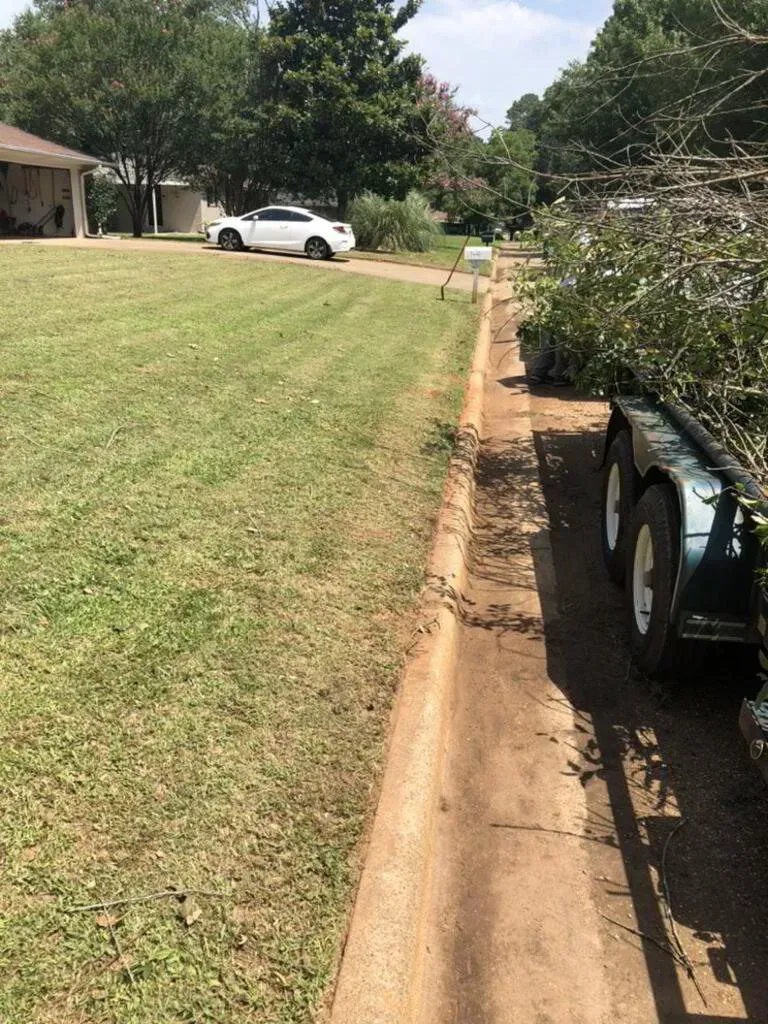 Green lawn and curb, trailer filled with branches parked alongside driveway with a white car.