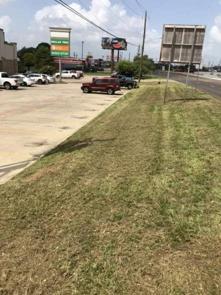 A sloped grassy area next to a parking lot with cars, and a commercial building on a bright day.