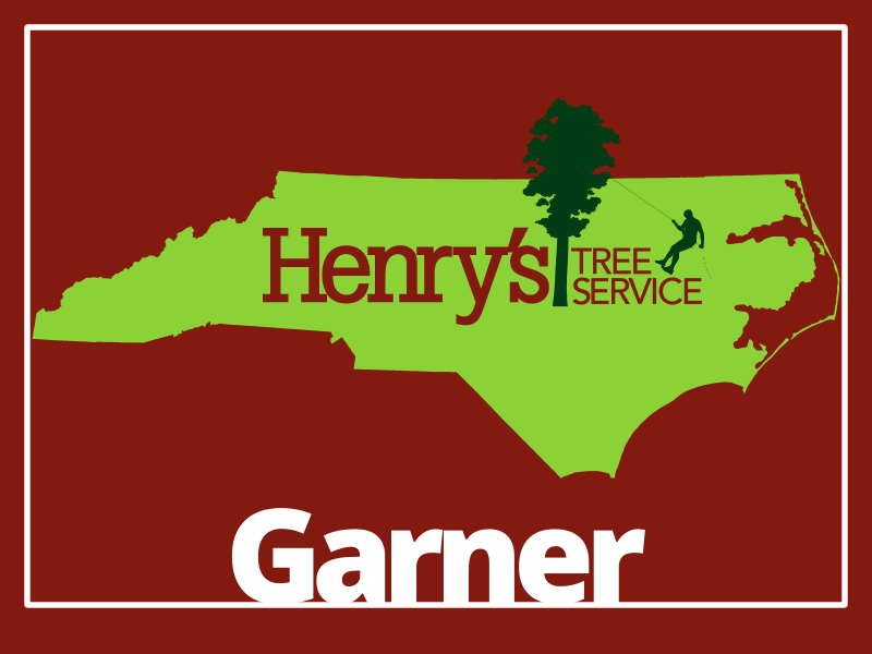 Service Area Tree Service Company Raleigh, NC