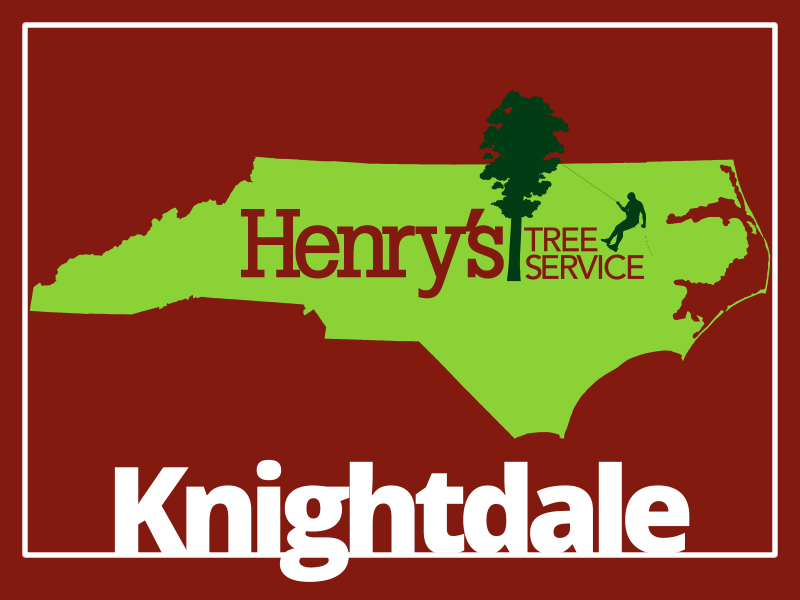 Service Area Tree Service Company Raleigh, NC