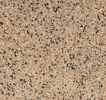 Speckled tan and black textured surface.