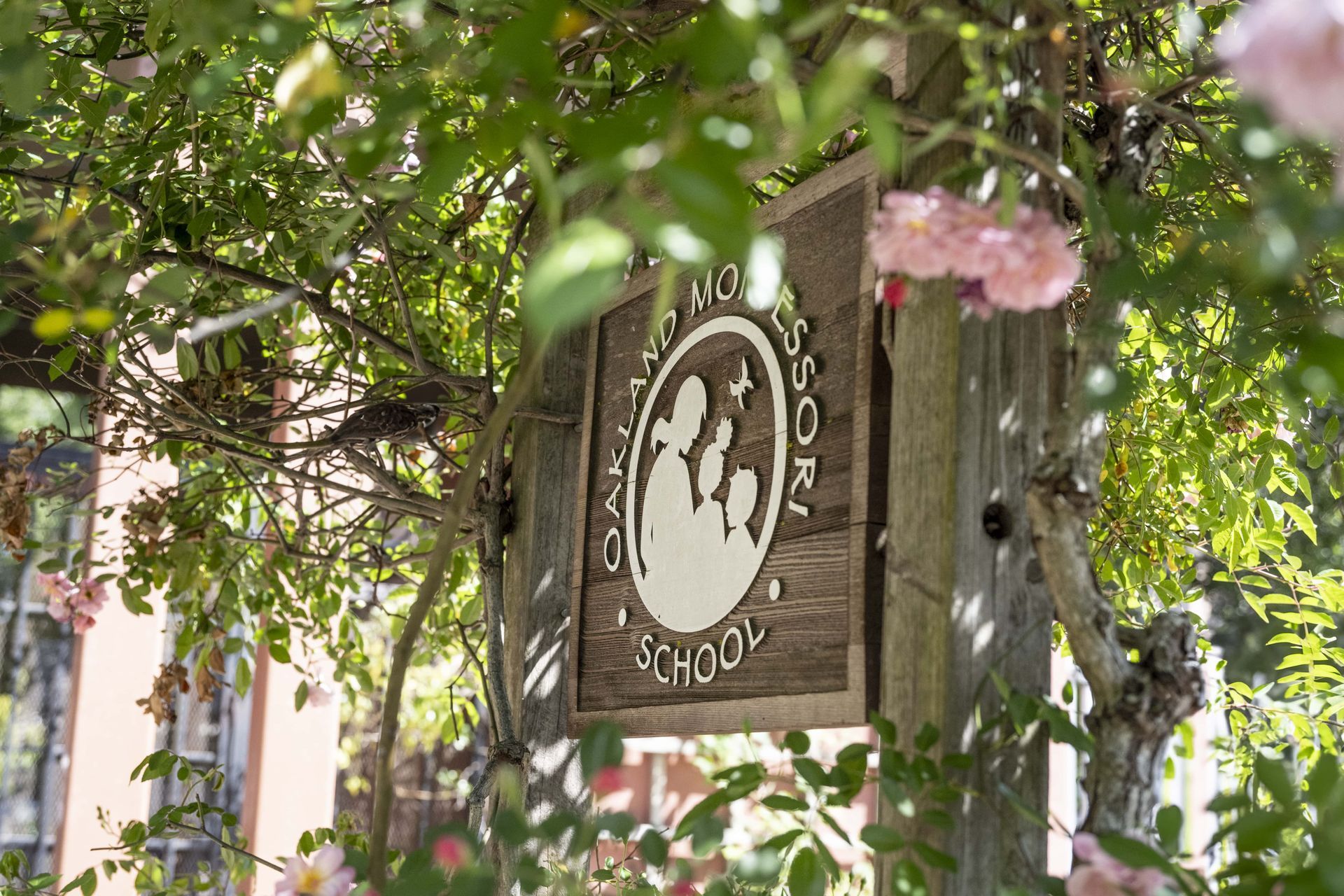 A wooden sign is hanging from a tree surrounded by flowers.