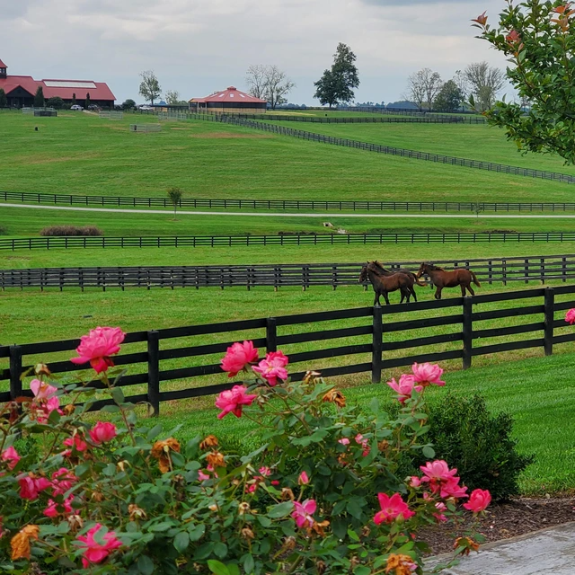Distill-Inn Bardstown — gallery preview 3