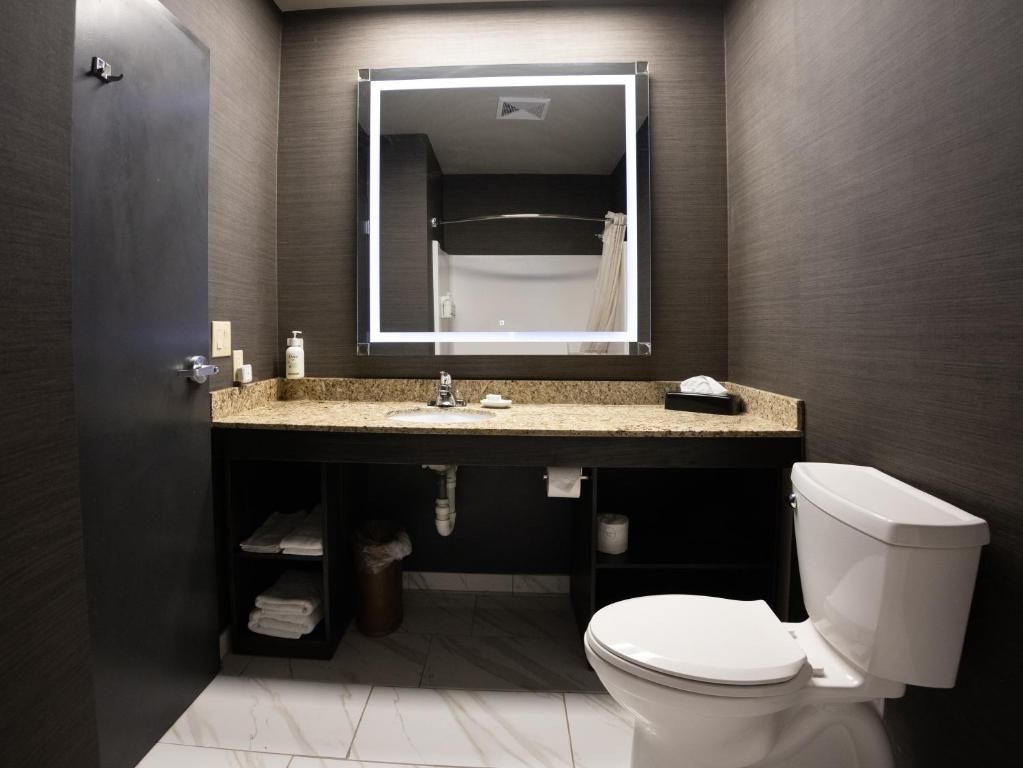 Modern bathroom with dark walls, granite countertop, large mirror, and toilet in the foreground