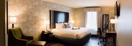 Modern hotel room with a large bed, armchair, desk, TV, and bright window curtains.