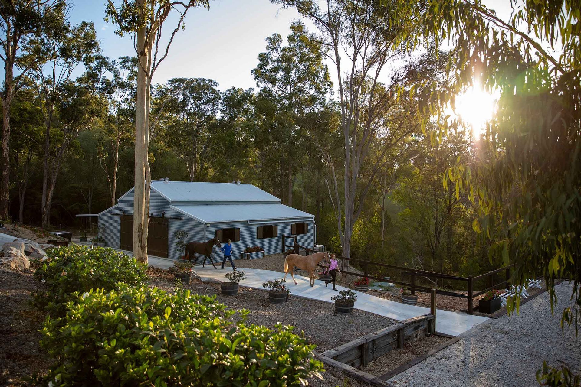 A Shed In The Middle Of A Forest With The Sun Shining Through The Trees 