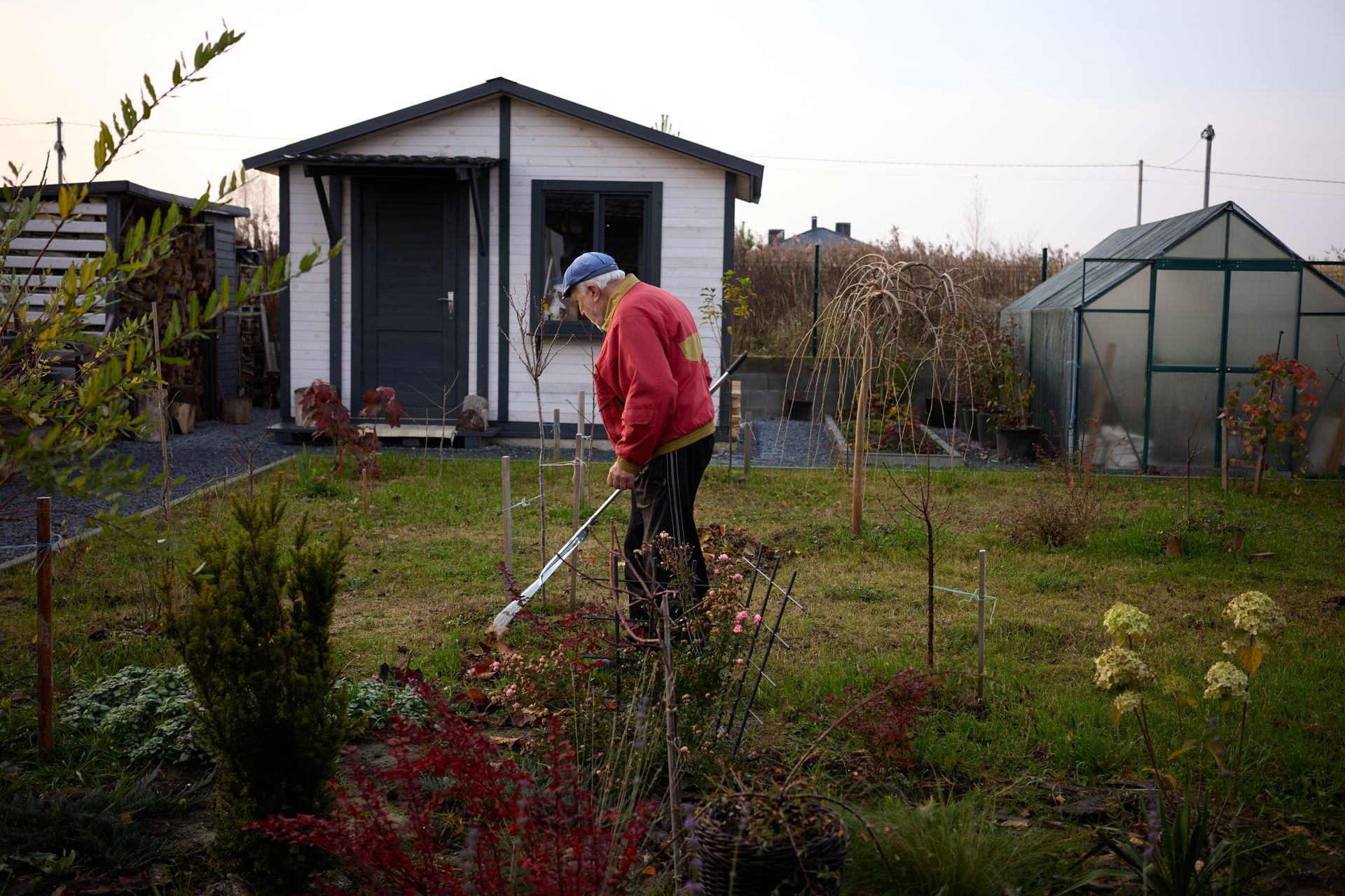 Man raking in garden near shed and greenhouse. Man raking in garden near shed and greenhouse.