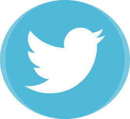 White Twitter bird logo on a blue circle