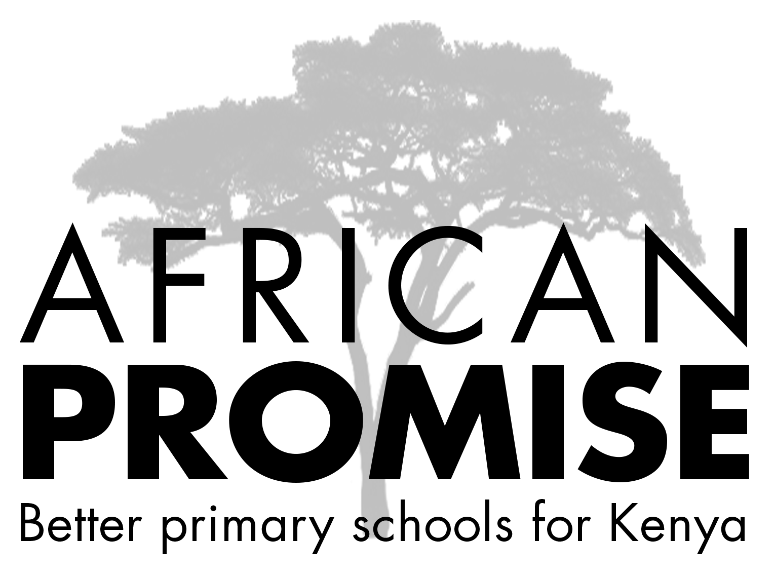 African Promise logo with tree silhouette and tagline “Better primary schools for Kenya”