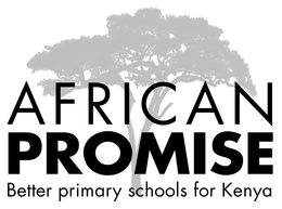 African Promise logo with tree silhouette and tagline “Better primary schools for Kenya”
