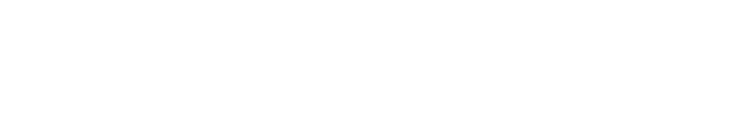 Black horizontal bar centered on a white background