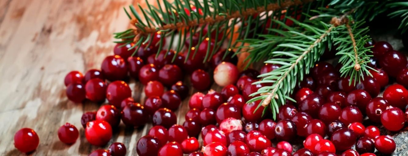 Red cranberries with evergreen sprigs on a wooden surface, festive holiday arrangement