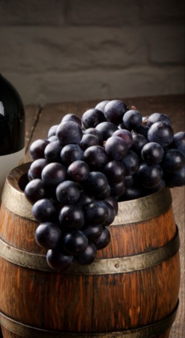 A bunch of dark purple grapes spilling from a wooden barrel on a rustic table