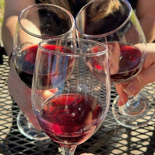 3 wine glasses with red wine clink together over a metal patio table.