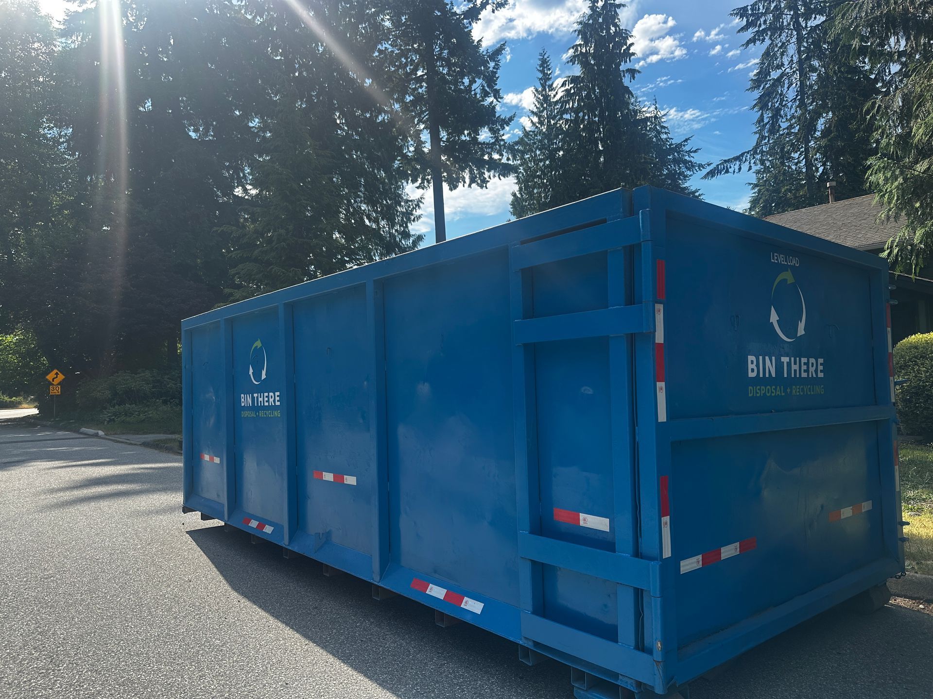 Blue dump container on a sunlit roadside with tall trees in the background