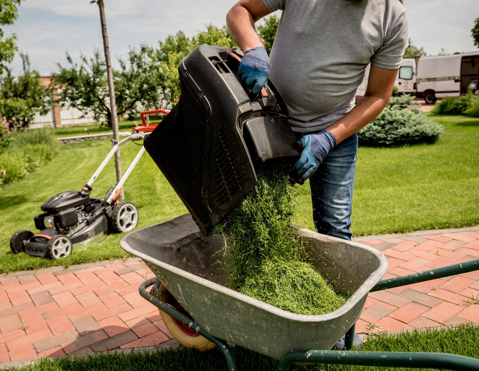 A man is pouring grass from a lawn mower into a wheelbarrow.