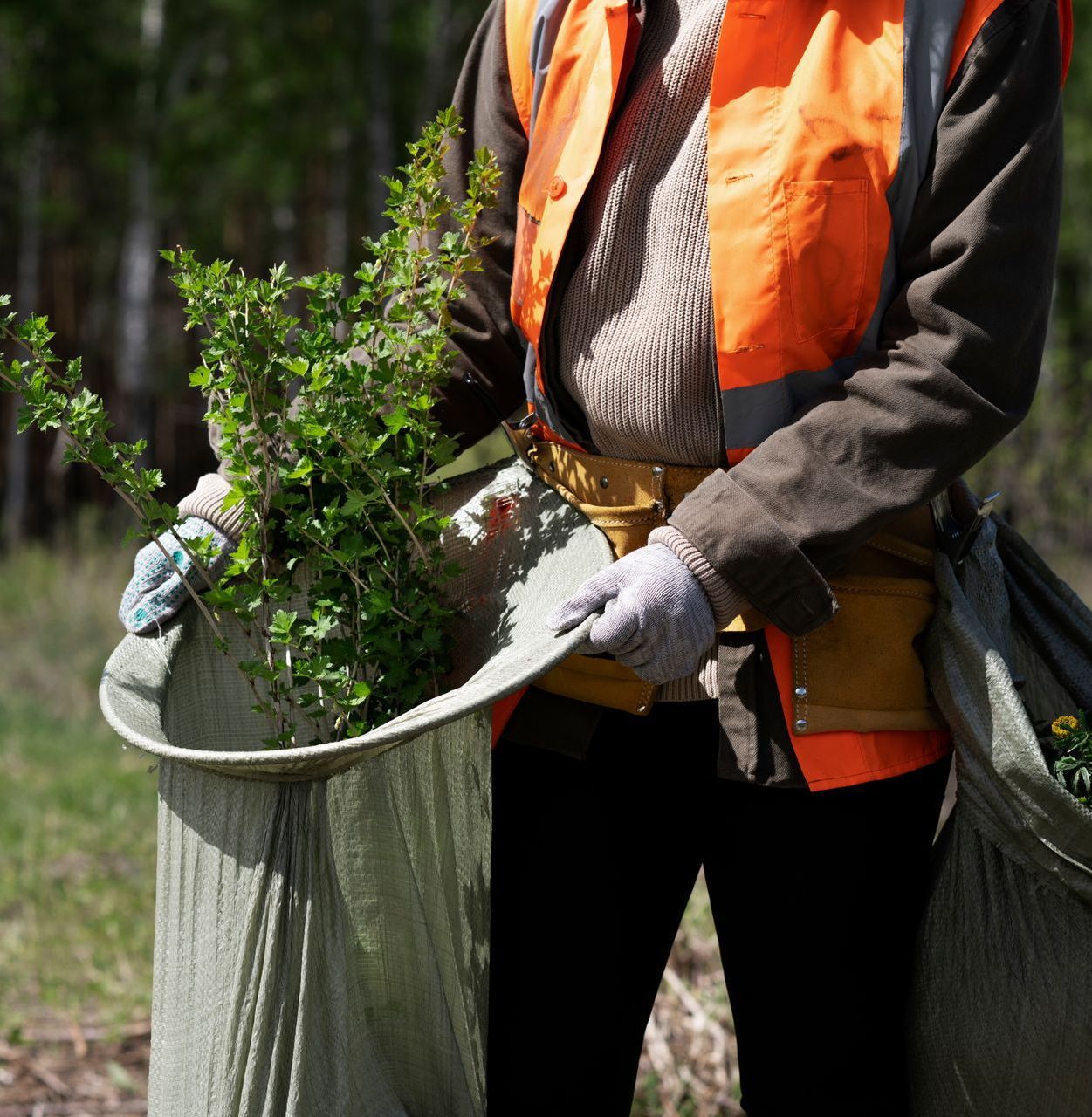 A man in an orange vest is holding a bag of plants