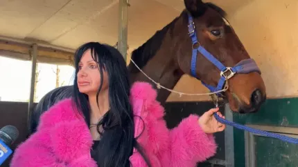 Sorpresa alla Maugeri: Barbara riabbraccia la sua cavalla Uranie dopo l'infortunio