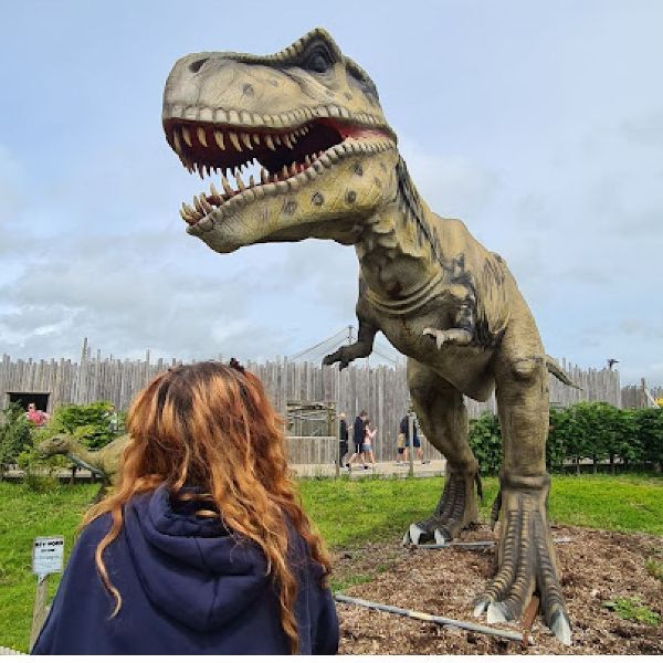 Picture of a Dinosaur