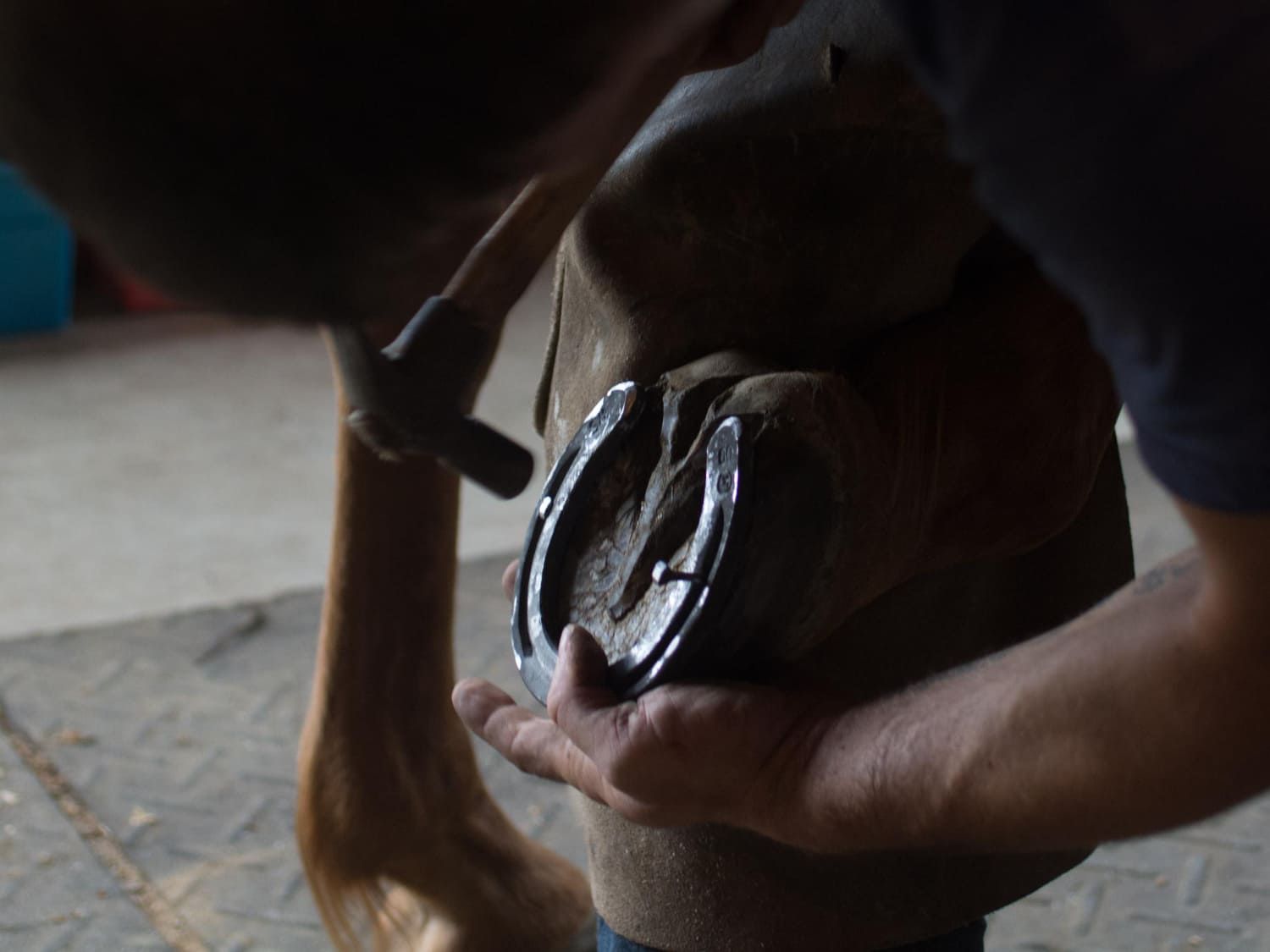 Custom Horse Shoeing Ada County