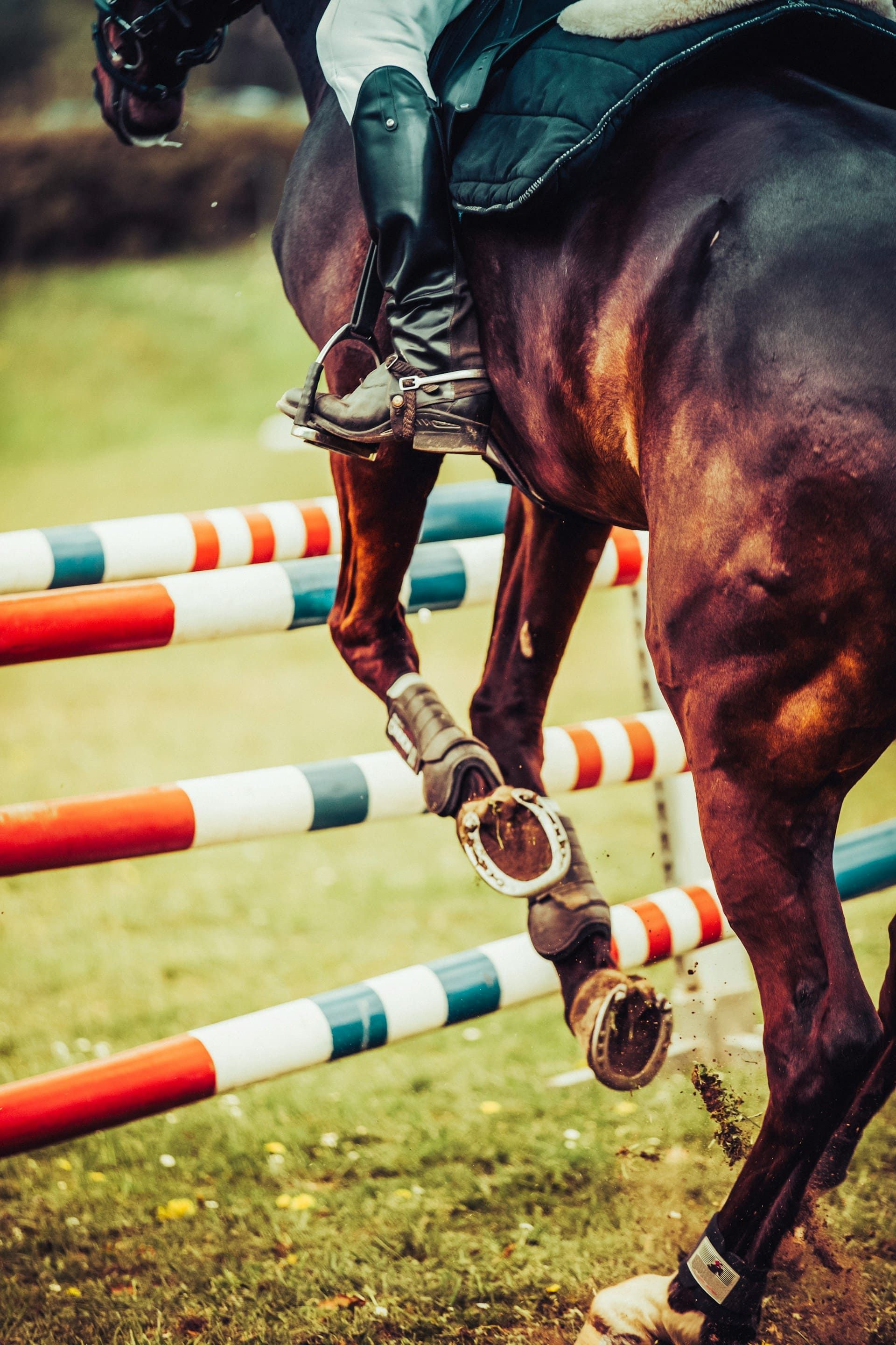 Custom Performance Horseshoeing Solutions