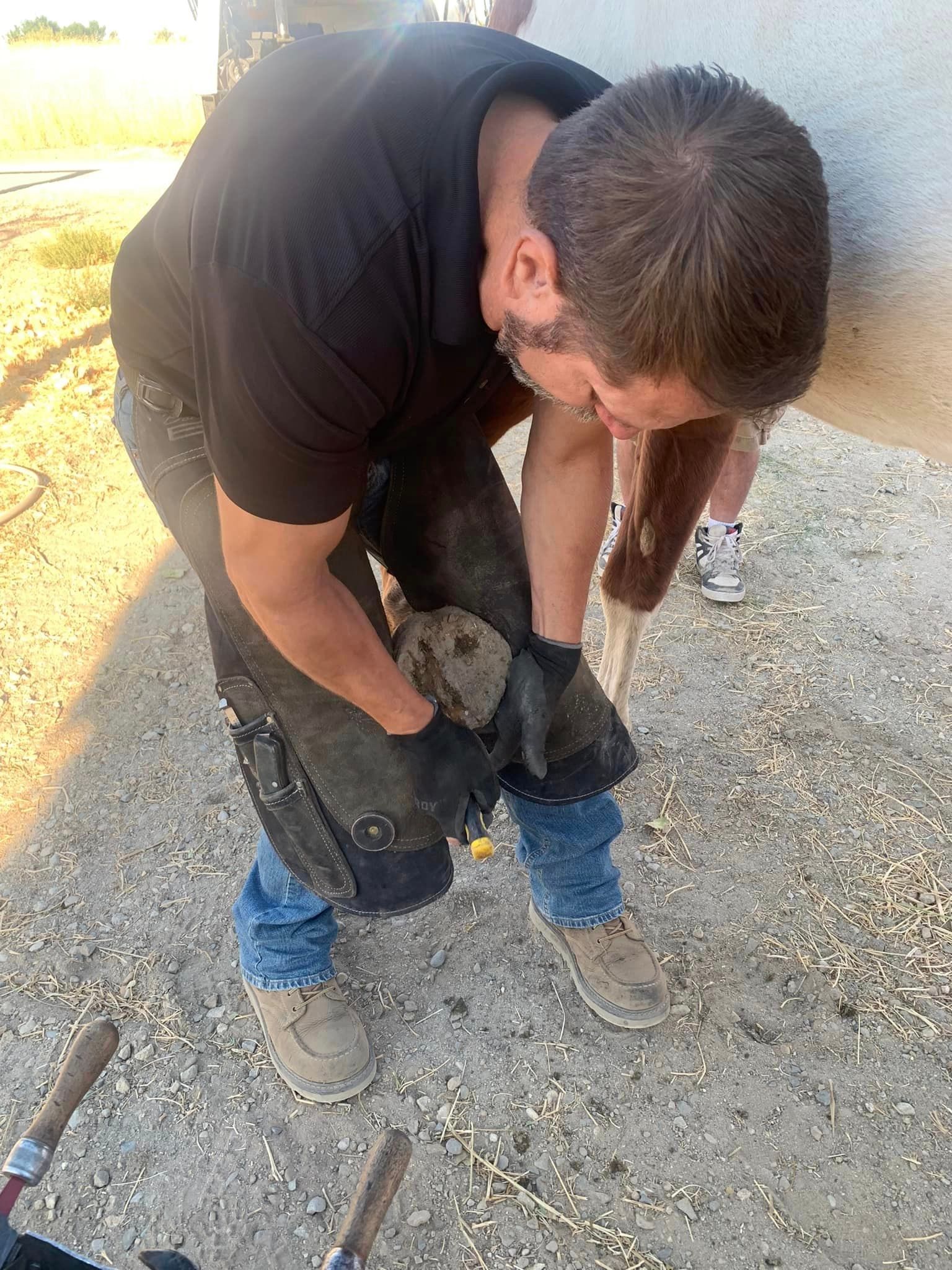 Top Horse Shoeing Farriers Idaho